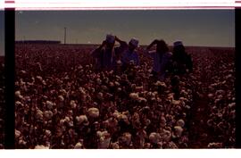 BR MTAPMT SCS-200-210-212-212.9-36301 40