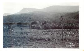 BR MTAPMT COL-200-210-211-00024 1