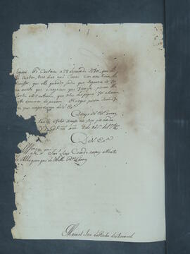 BR MTAPMT FNSC-CA-0119-01