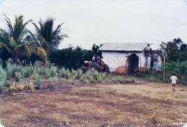 BR MT APMT.JRC.CD.AS.0137 1