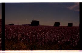 BR MTAPMT SCS-200-210-212-212.9-36301 34