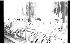 BR MTAPMT SCS-800-810-814-814.5-29511 7