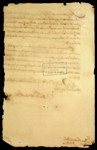 Open original Document numérique