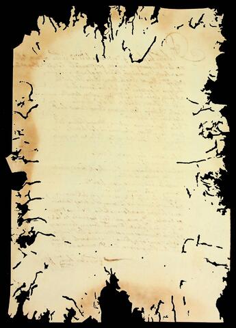 Open original Document numérique