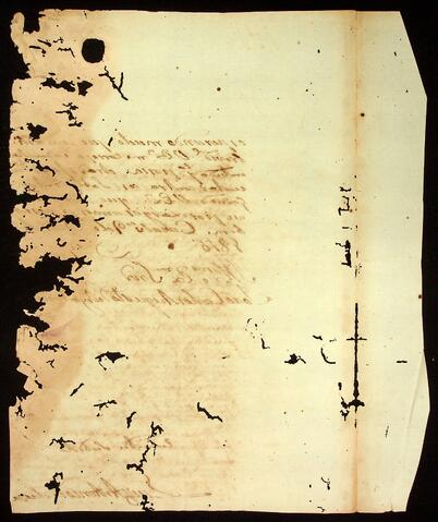 Open original Document numérique
