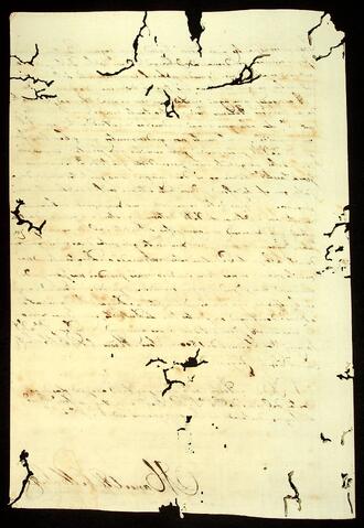 Open original Document numérique