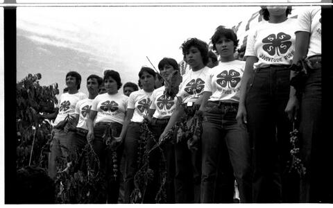 Open original Document numérique