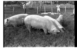 BR MTAPMT SCS-200-210-216-216.5-30097 12