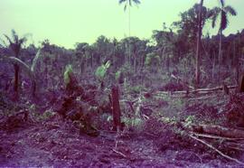 BR MT APMT.JRC.CD.AP.0081 12