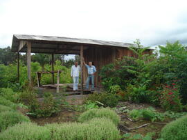 BR MT APMT.JRC.SM.PX.0207 17