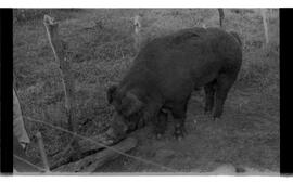 BR MTAPMT SCS-200-210-216-216.5-30097 27