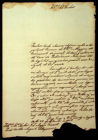 Open original Document numérique