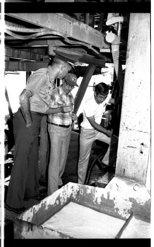 Open original Digital object