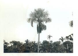 BR MTAPMT COL-900-990-991-00014 1