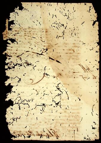 Open original Document numérique