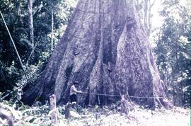 'BR MT APMT.JRC.CD.JV.0010 1