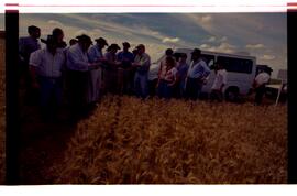 BR MTAPMT SCS-200-210-212-212.9-36324 13