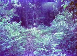 BR MT APMT.JRC.CD.AP.0081 6
