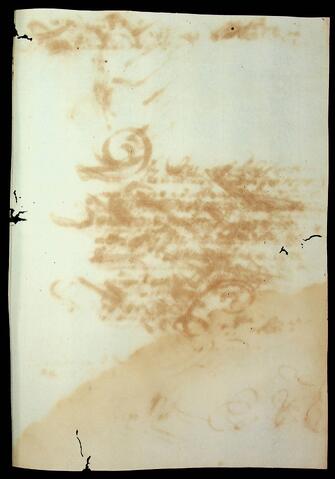 Open original Document numérique