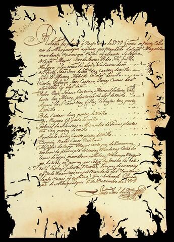 Open original Document numérique