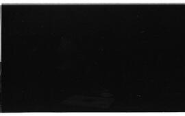 BR MTAPMT SCS-000-010-011-011.2-29887 4