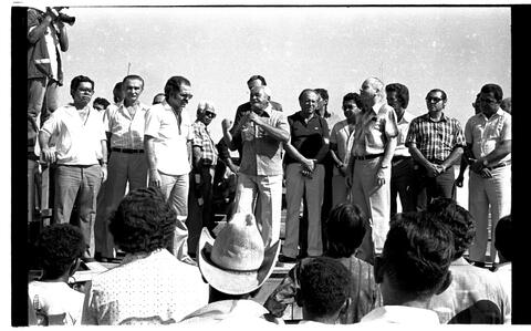 Open original Document numérique