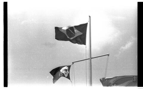 Open original Document numérique