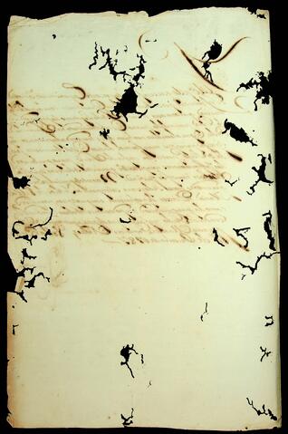 Open original Document numérique