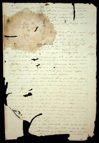 Open original Document numérique