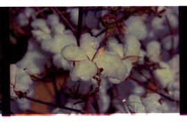 BR MTAPMT SCS-200-210-212-212.9-36324 49