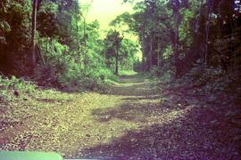 BR MT APMT.JRC.CD.AP.0081 7