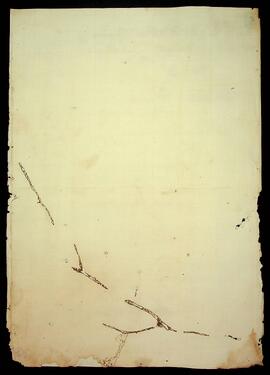 BR MTAPMT SG-CA-3692 4
