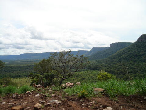 Open original Digital object