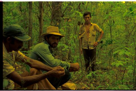 Open original Objeto digital