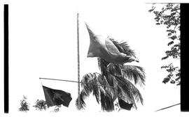 BR MTAPMT SCS-900-910-915-915.5-29909 20