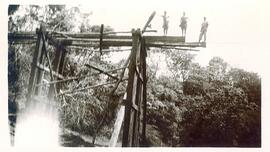 BR MTAPMT COL-900-960-00018 1
