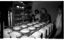 BR MTAPMT SCS-300-370-371-371.9-29972 29