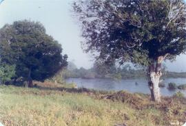 BR MT APMT.JRC.CD.AS.0149 8