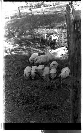 BR MTAPMT SCS-200-210-216-216.5-30097 5