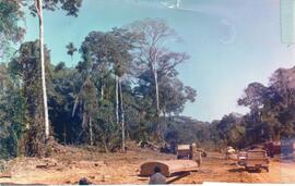 BR MT APMT.JRC.CD.AP.0076 1
