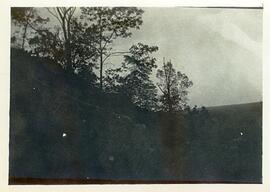 BR MTAPMT COL-900-990-991-00013 1