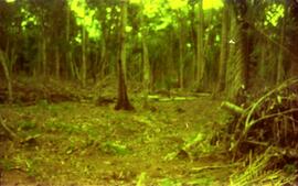 BR MT APMT.JRC.CD.AP.0088 1