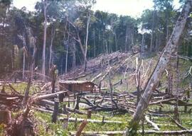 BR MT APMT.JRC.CD.AP.0069 1