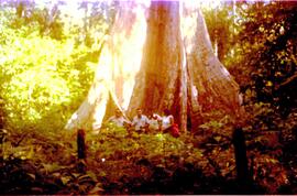BR MT APMT.JRC.CD.AP.0107 2