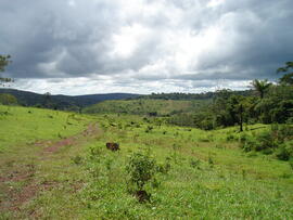 BR MT APMT.JRC.SM.PRF.0212 10