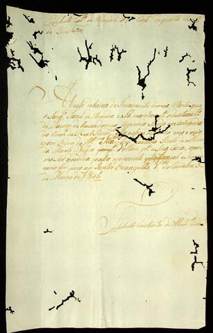 Open original Document numérique
