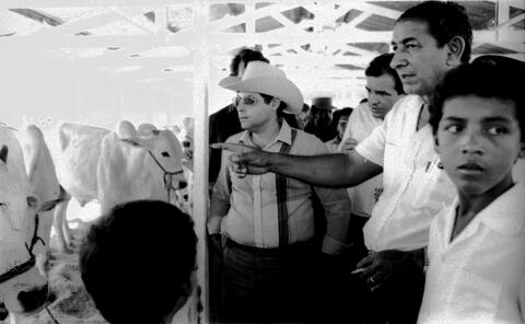 Open original Objeto digital