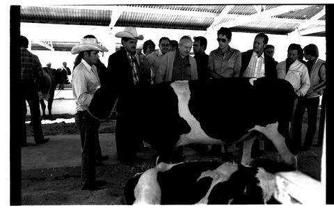 Open original Digital object