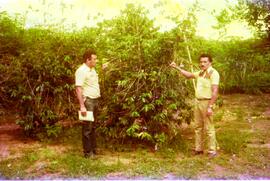 BR MT APMT.JRC.CD.AP.0094 1