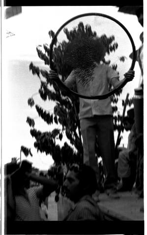 Open original Document numérique